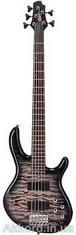���-������ CORT ACTION V DLX FGB